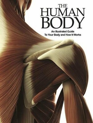 The Human Body by Peter Abrahams
