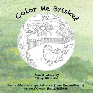 Color Me Brisket by Sheila Hittner