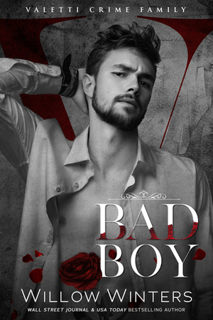 Bad Boy by Willow Winters