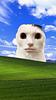 julylylylyly's profile picture