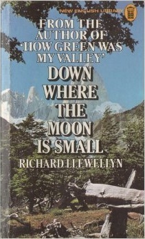 Down Where The Moon Is Small by Richard Llewellyn