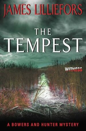 The Tempest: A Bowers and Hunter Mystery by James Lilliefors