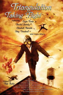 Triangulation: Taking Flight by Pete Butler