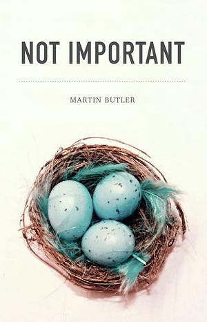 Not Important  by Martin Butler