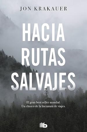 Hacia rutas salvajes by Jon Krakauer