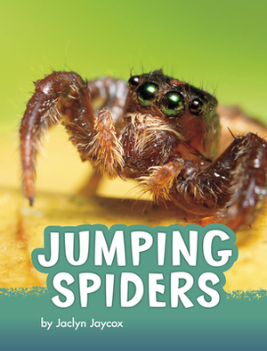Jumping Spiders by Jaclyn Jaycox, Claire Archer