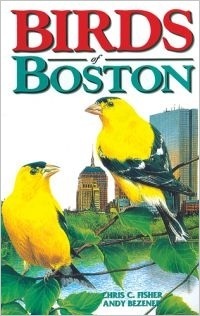 Birds of Boston (City Bird Guides) by Andy Bezener, Chris Fisher