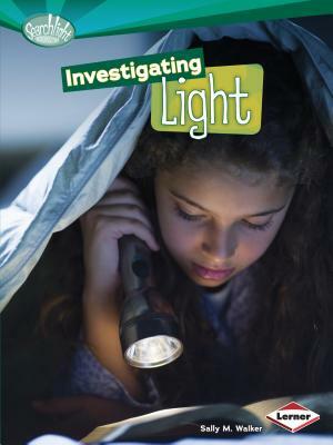 Investigating Light by Sally M. Walker