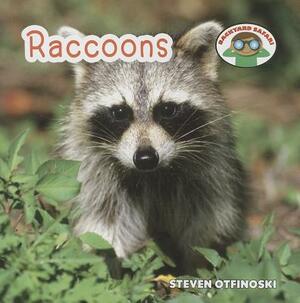 Raccoons by Steven Otfinoski