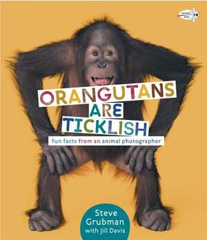 Orangutans Are Ticklish: Fun Facts from an Animal Photographer by Jill Davis