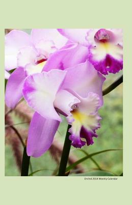 Orchid 2014 Weekly Calendar: 2014 weekly calendar with a photo of a purple orchid by K. Rose