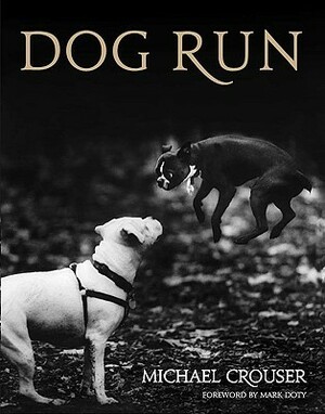 Dog Run by Michael Crouser