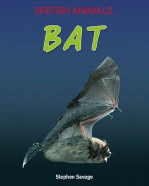 Bat. Stephen Savage by Stephen Savage