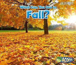 What Can You See in Fall? by Sian Smith