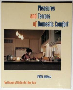 Pleasures and Terrors of Domestic Comfort by Peter Galassi