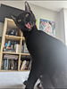 bexxwood's profile picture