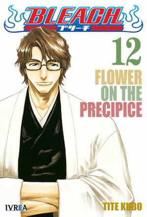 Bleach, tomo 12: Flower on The Precipice by Tite Kubo