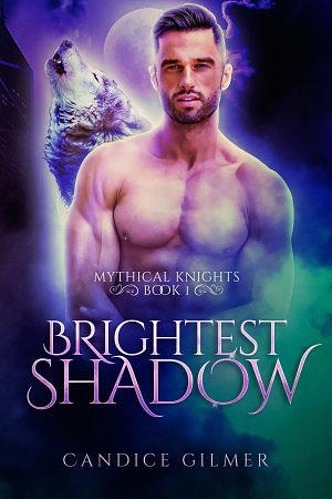 Brightest Shadow by Candice Gilmer