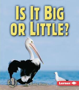 Is It Big or Little? by Sheila Rivera