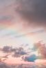 dreaminginpastels's profile picture