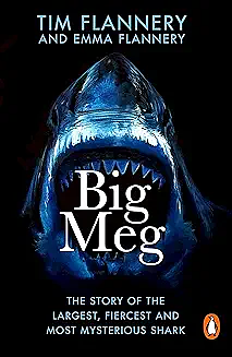 Big Meg: The Story of the Largest, Fiercest and Most Mysterious Shark by Emma Flannery, Tim Flannery