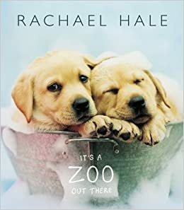 It's a Zoo Out There by Rachael Hale, Suzanne Mcfadden