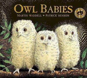 Owl Babies 25th ANNIVERSARY ED BOARD by Martin Waddell, Patrick Benson