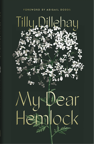 My Dear Hemlock - A Christian Living Book for Women, Guard Against Vices, Grow in Virtue, Christian Book for Women by Tilly Dillehay, Tilly Dillehay, Abigail Dodds