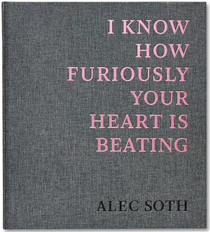 I Know How Furiously Your Heart is Beating by Alec Soth