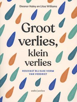 Groot verlies, klein verlies - Houvast bij elke vorm van verdriet by Eleanor Haley, Litsa Williams