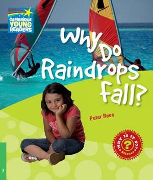 Why Do Raindrops Fall? Level 3 Factbook by Peter Rees