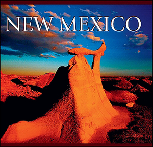 New Mexico by Tanya Lloyd Kyi