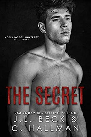 The Secret by J.L. Beck, C. Hallman