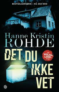 Det du ikke vet  by Hanne Kristin Rohde
