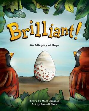 Brilliant!: An Allegory of Hope (About Adoption & Fostering) by Matt B. Burgess