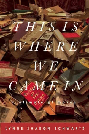 This Is Where We Came In: Intimate Glimpses by Lynne Sharon Schwartz