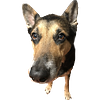 nhudle's profile picture