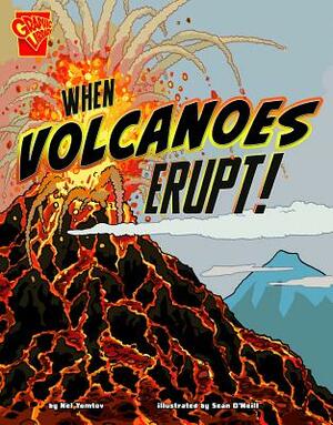 When Volcanoes Erupt! by Nel Yomtov