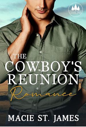 The Cowboy's Reunion Romance by Macie St. James