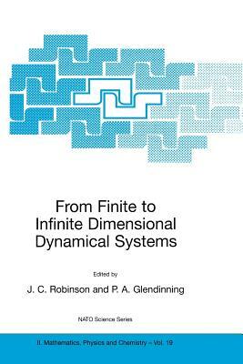 From Finite to Infinite Dimensional Dynamical Systems by 