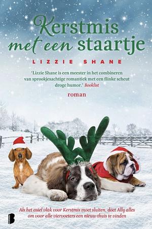 Kerstmis met een staartje: Als het asiel vlak voor Kerstmis moet sluiten, doet Ally alles om voor alle viervoeters een nieuw thuis te vinden by Lizzie Shane