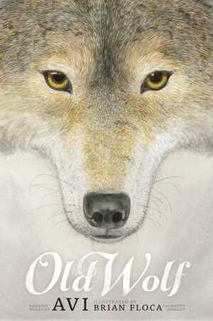 Old Wolf by Brian Floca, Avi