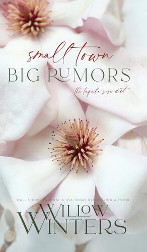 Small Town, Big Rumors by Willow Winters