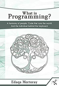 What is Programming? by Edaqa Mortoray