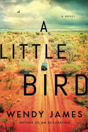 A Little Bird by Wendy James