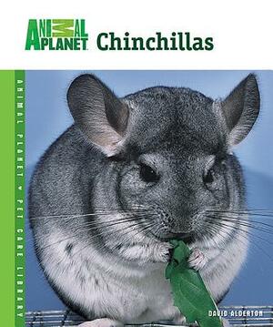 Chinchillas by David Alderton