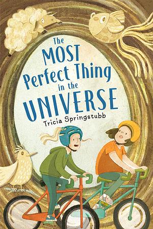The Most Perfect Thing in the Universe by Tricia Springstubb