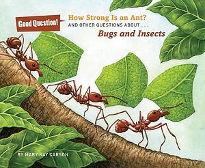 How Strong Is an Ant?: And Other Questions about Bugs and Insects by Mary Kay Carson