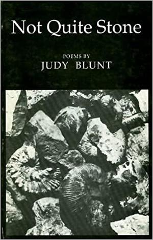 Not Quite Stone by Judy Blunt, Judy Blunt