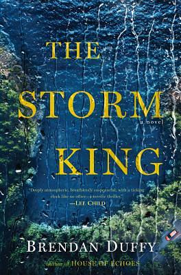 The Storm King by Brendan Duffy